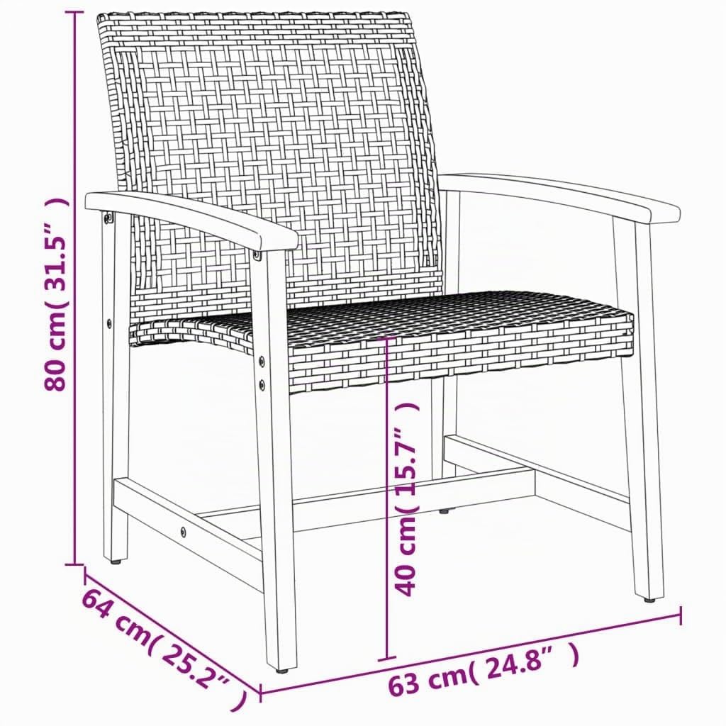 vidaXL Chaises de Jardin Lot de 2 Noir résine tressée et Bois d’Acacia