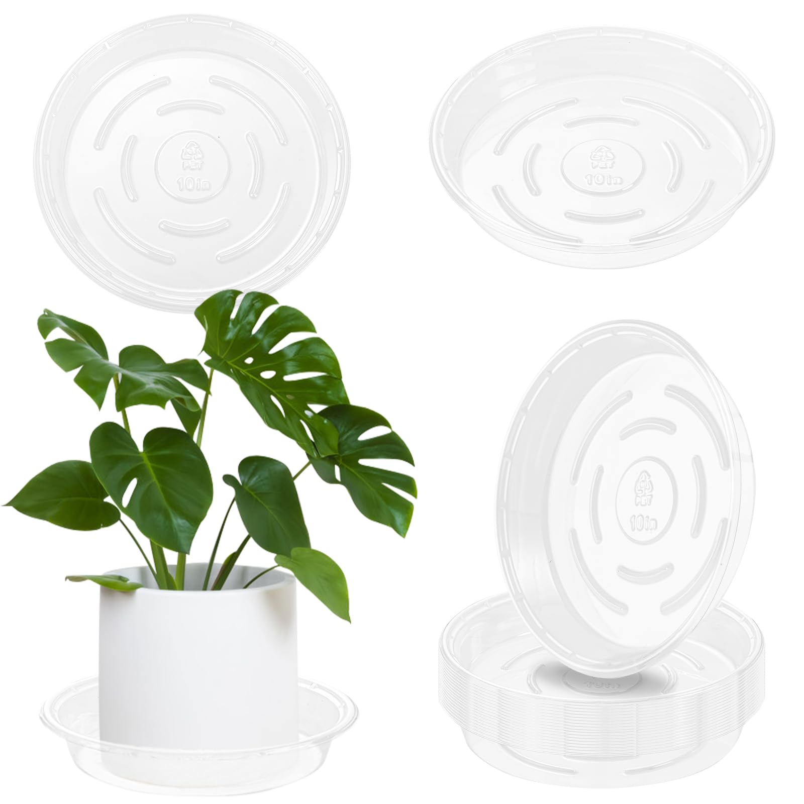 Assiette pour plante transparente de 25 cm pour éviter les fuites d'eau au sol