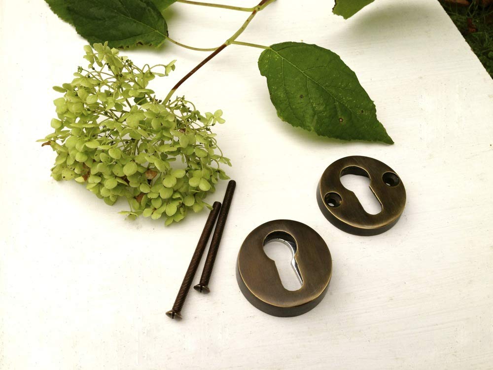 Antikas - Sicherheits-Rosette aus Messing, PZ-Beschläge, Schloss-Rosette im Antik-Stil