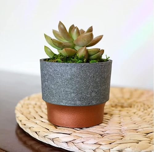 Miniatura 4 de The HC Companies Maceta Sprite de 3 pulgadas en cobre de hormigón sintético