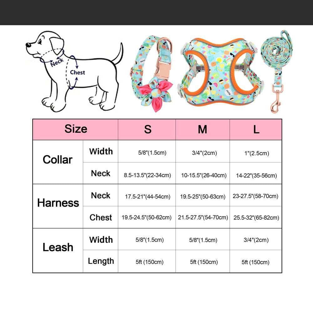 Correa para Mascotas, Juego de arneses para Perros y Gatos, Collar con Estampado Azul, Correa Personalizada para pasear Mascotas (S)