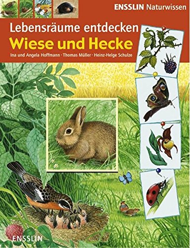 Wiese und Hecke Wiese und Hecke