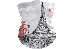 Paris Face Mask - the Ultimate Face Protection for Parisians