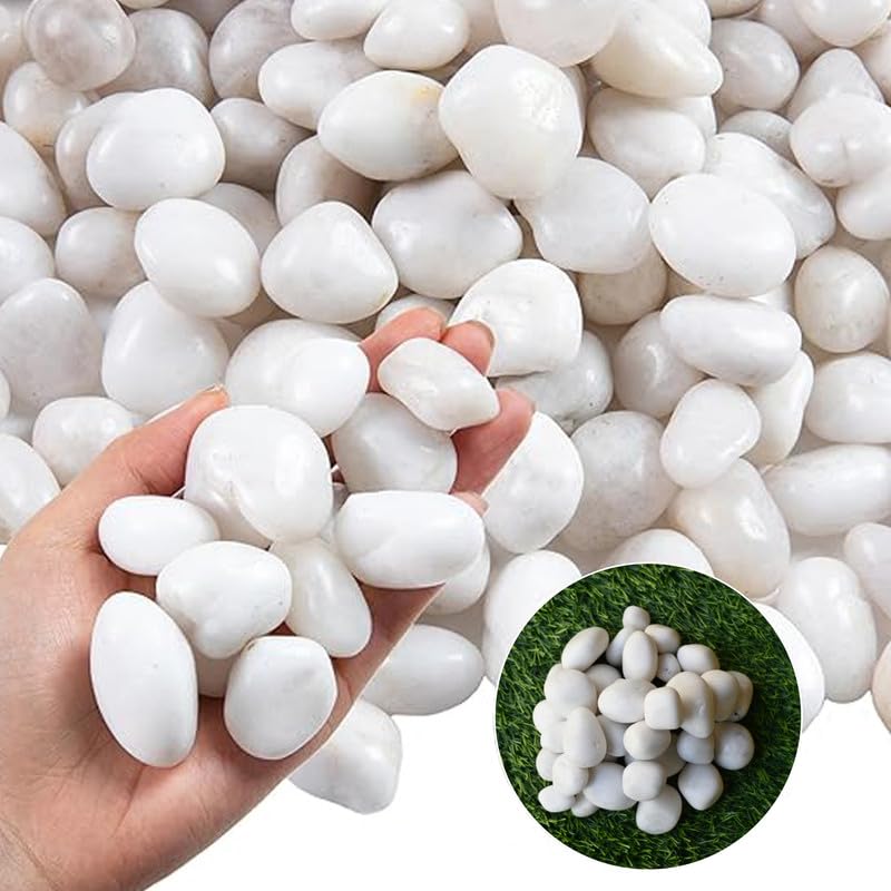 See full amazon price history chart for Perfy 5Kg Natural Polished White Pebbles for Plant Pots, Aquarium/Fish Tank, Decorations, Vase Fillers, Garden & Home Decor (White, 20-30mm) Perfy 5Kg Natural Polished White Pebbles for Plant Pots, Aquarium/Fish Tank, Decorations, Vase Fillers, Garden & Home Decor (White, 20-30mm) (B0DFCL4GMB) Amazon Price History, Amazon Price Tracker
