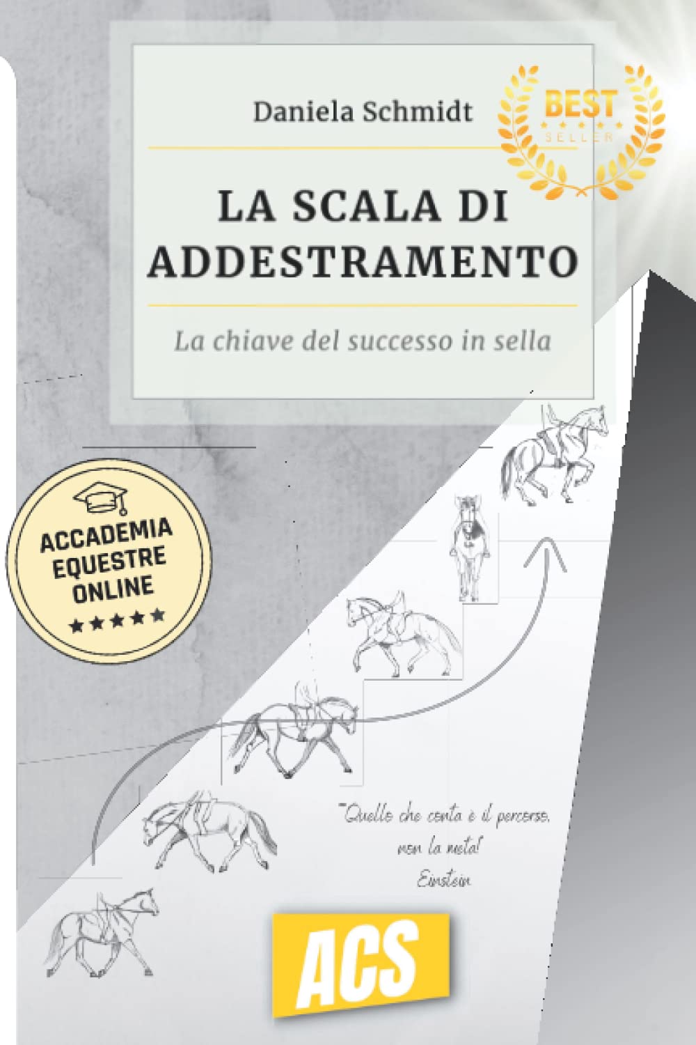 La scala di addestramento: Il segreto del successo in sella