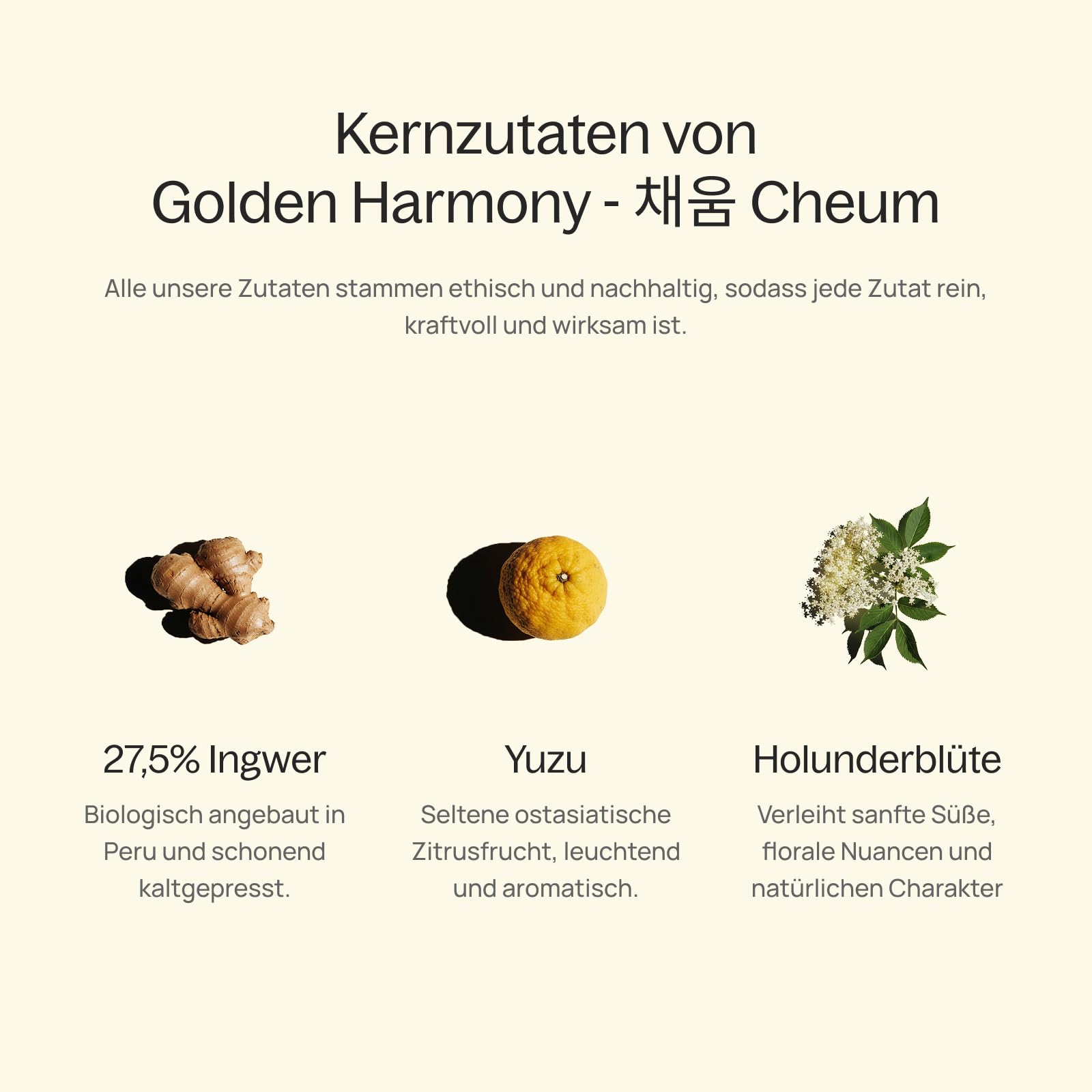ZENGER Golden Harmony CHEUM– Premium Bio Ingwer Elixir (700 ml x 6er Pack) | Natürliches Ingwerkonzentrat | Alkoholfrei | Für Tee-Rituale, Mocktails & Daily Wellness