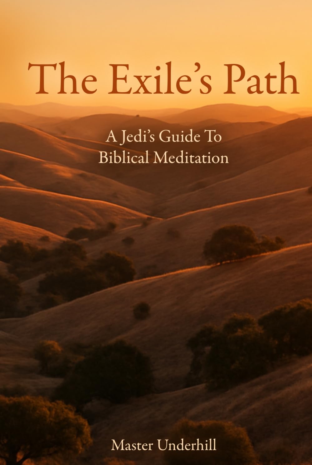The Exile’s Path: A Jedi's Guide to Biblical Meditation