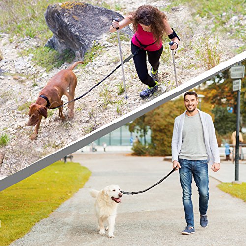 Sparklypets Hands Free Dog Leash For Medium And Large Dogs – Professional Harness With Reflective Stitches For Training, Walking, Jogging And Running Your Pet (Gray, For 1 Dog) #TOP6