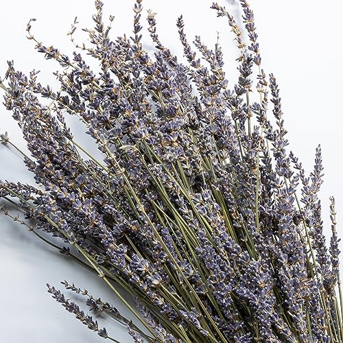Sachets de Lavanda 12-Pack - Bolsitas Naturales Secas miniatura 3