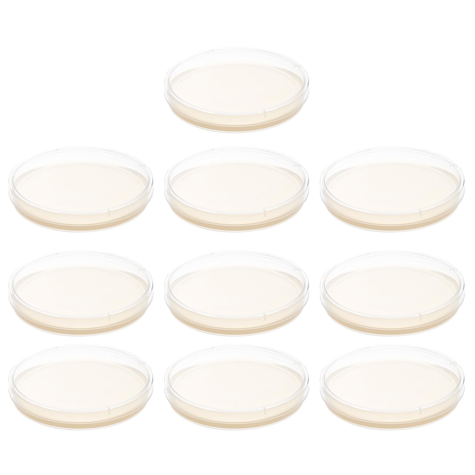 Zerodeko Kit de 10 Placas de Agar con Medio de Cultivo para Laboratorio Diseño Profesional Placas Frescas para Crecimiento Rápido, Material de Agar para Uso en Laboratorios
