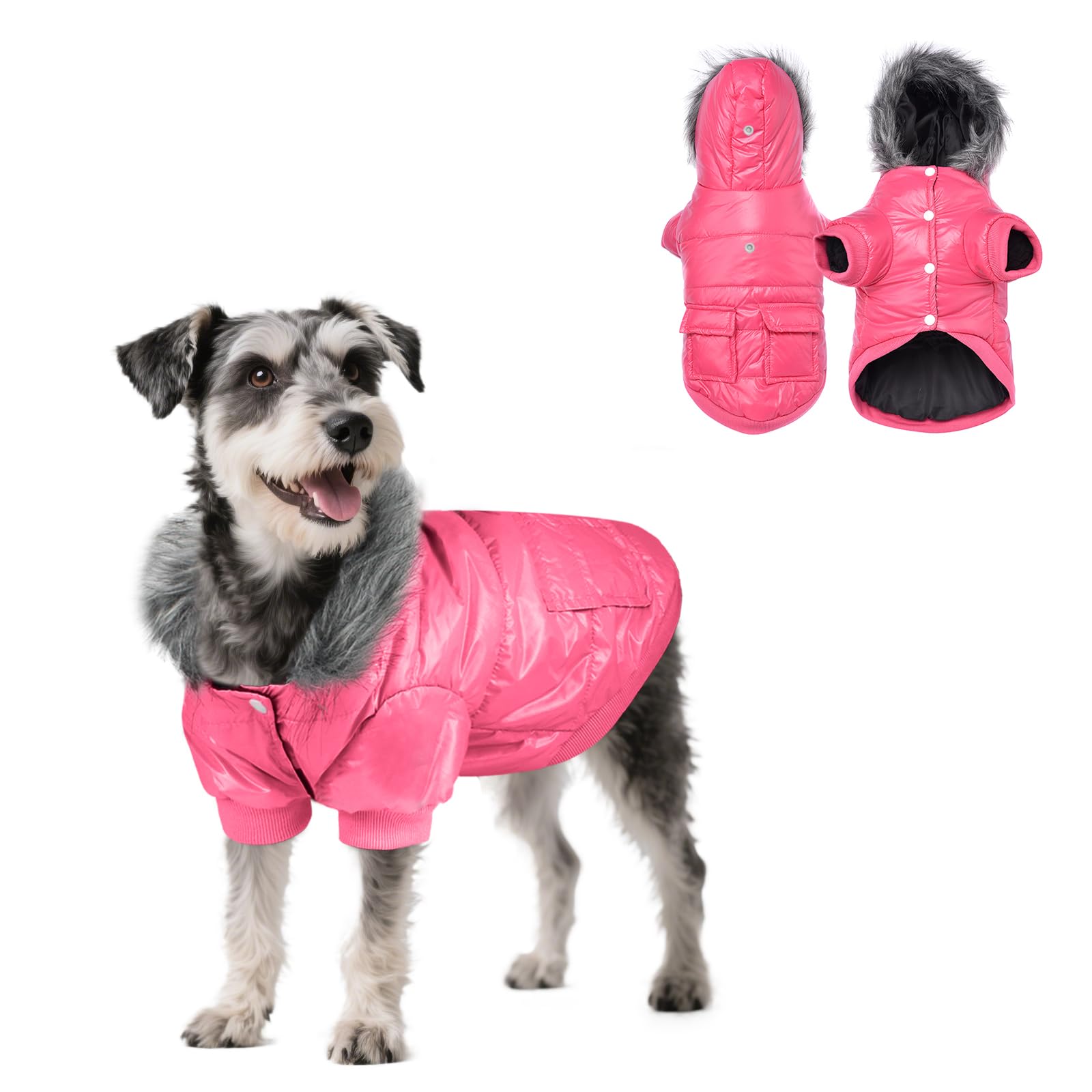 Manteau d'hiver chiot rose XL résout le problème des balades froides et humides