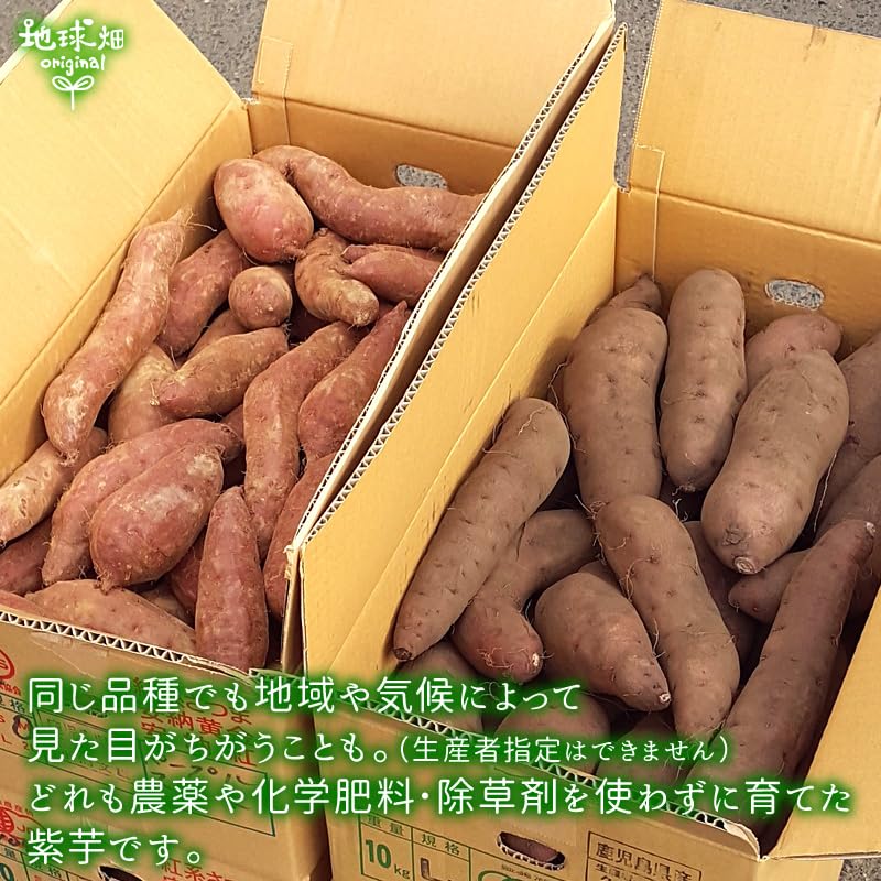 Amazon.co.jp: 地球畑 さつまいも 紫芋 2kg 有機栽培 生 鹿児島県産