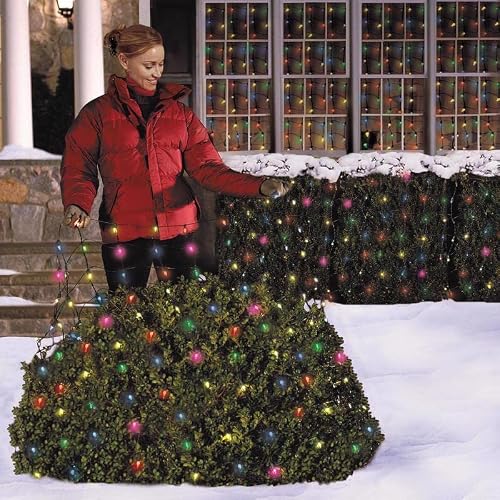 Celebration 150 Indoor/Outdoor Net-Style Lights, Multi-Color #TOP1
