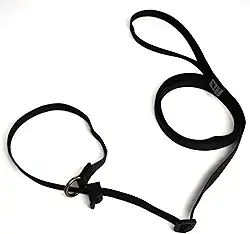 Guia Unificada Barkon Dog 15mm Poliéster (Preto, 1,50 metros)