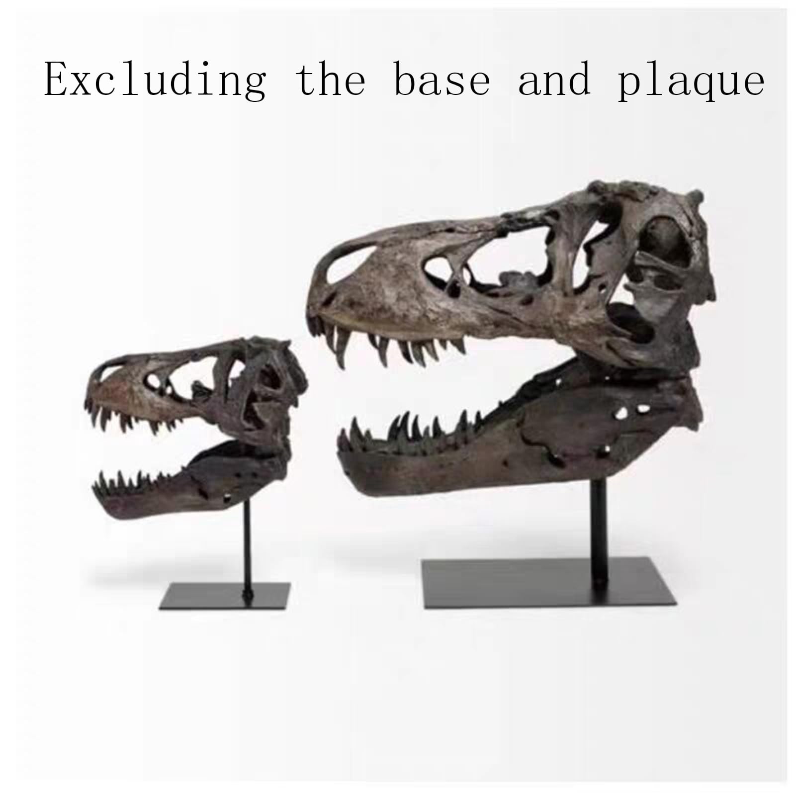 Dekoracja biurka Artystyczna Statua - Rzeźba Ozdoby - Statua Czaszki Dinozaura, Model w Skali 1/10 Tyranozaur Rex Czaszka Żywica Rzeźba Realistyczna statuetka w kształcie dinozaura Blat