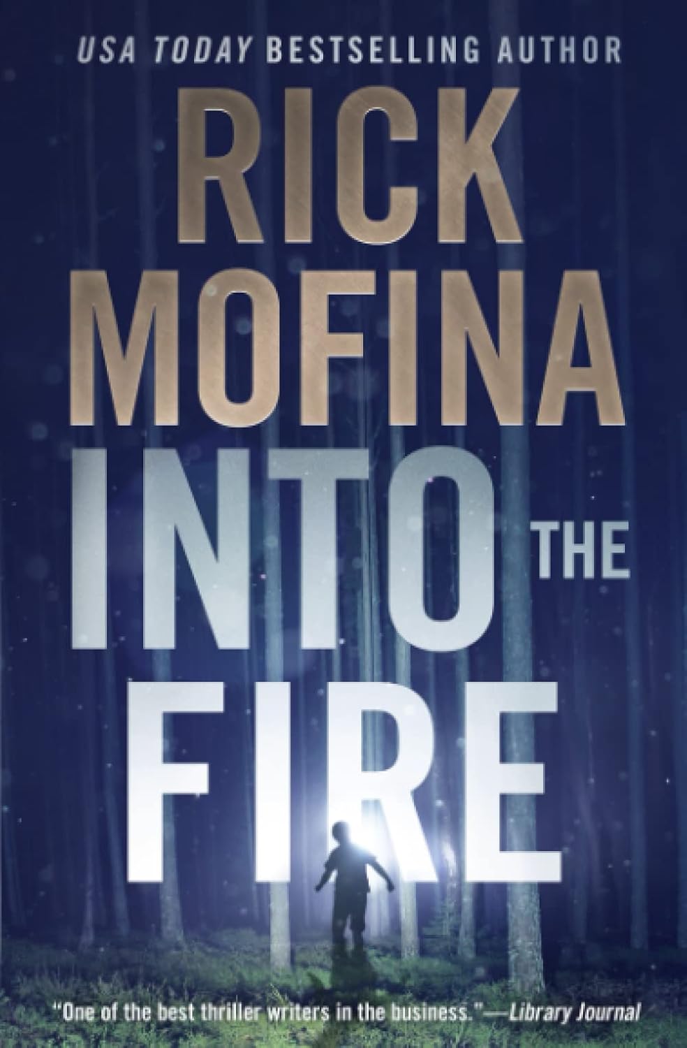 Into the Fire (Ray Wyatt Thriller Series)