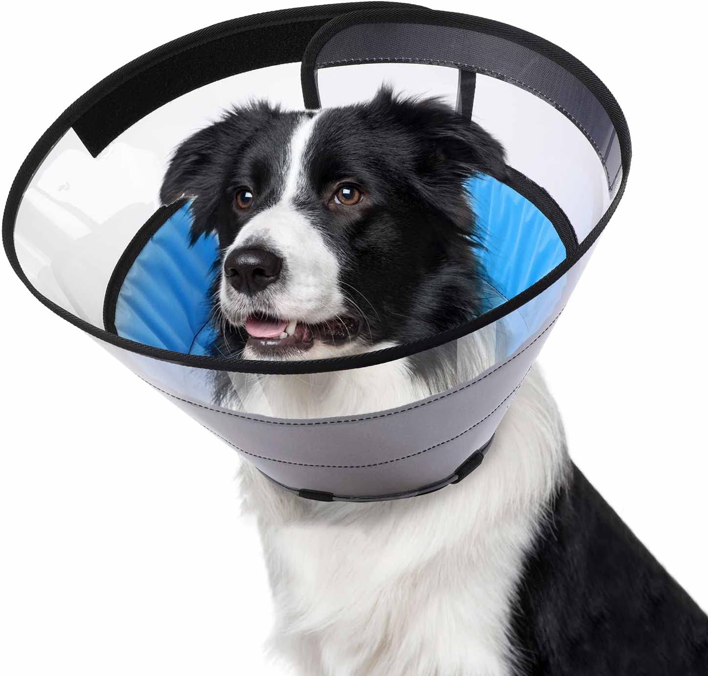 Dog Cone Alternatives for Dogs After Surgery, Soft
