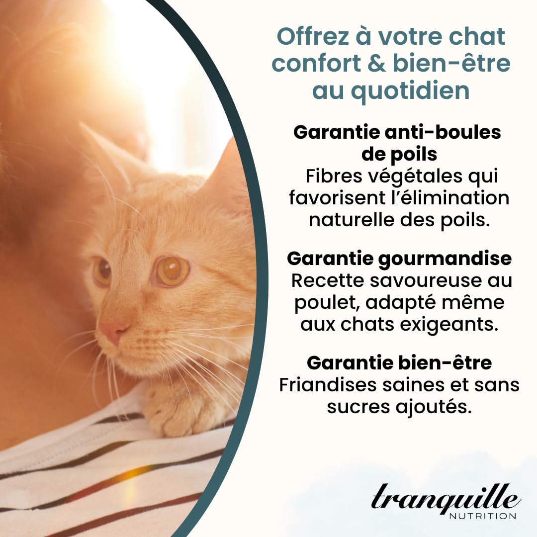 Tranquilo Crunch' Expert Anti Bola de Cerdas para Gato (Lote de 40 x 60 g) | Dulces de Malta y Fibras Vegetales | Croqueta Gato | Snack Preventivo Bienestar | con Pollo y sin Azúcares