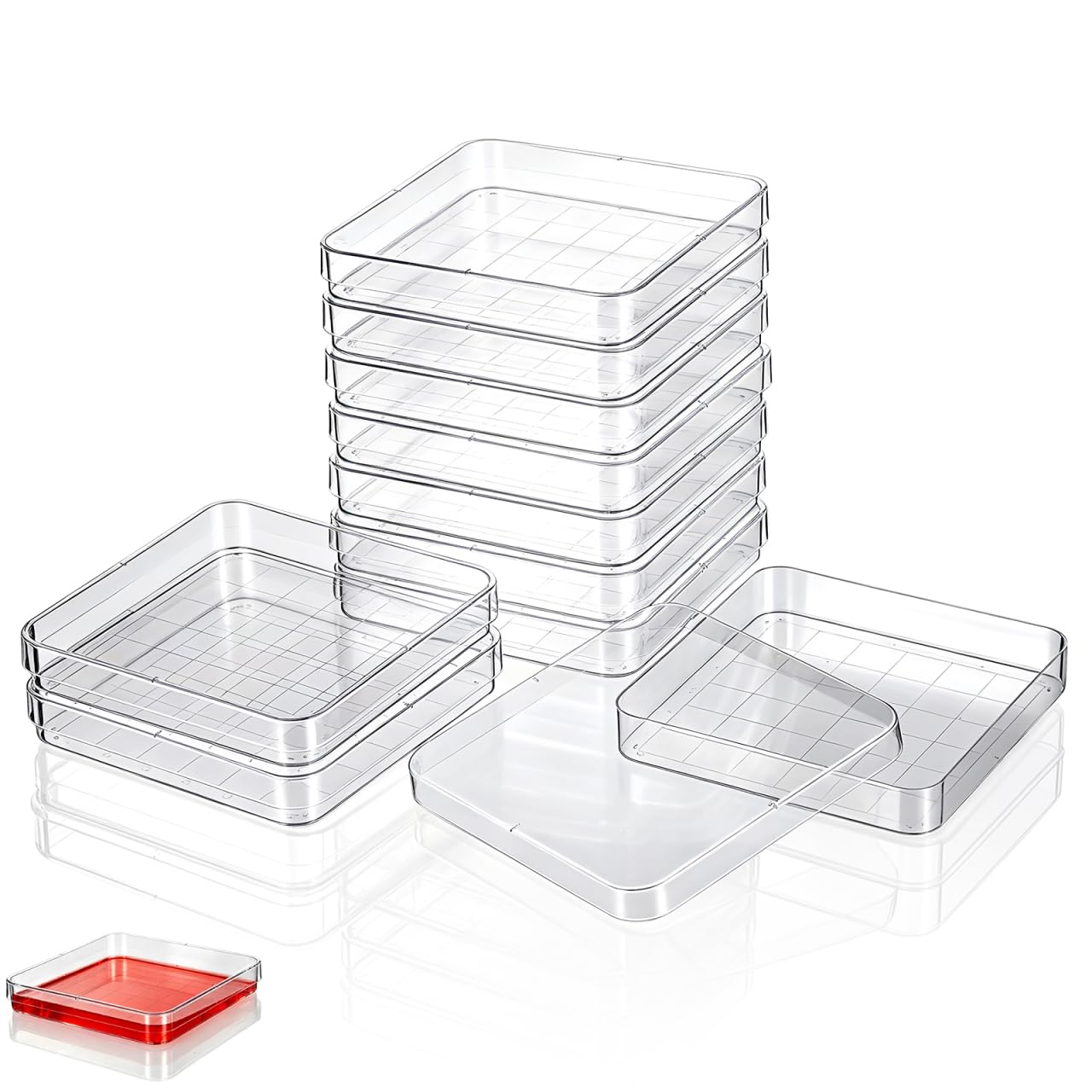 MAGICLULU 10 pièces Boîtes Pétri Carrées avec Couvercle Boîtes Pétri Transparentes pour Microbiologie Recherche Botanique Projets Scolaires et Laboratoire Scientifique