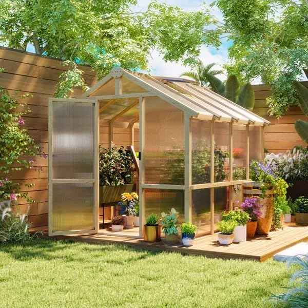 Wooden Walk-in Greenhouse with Polycarbonate Panels in a Garden