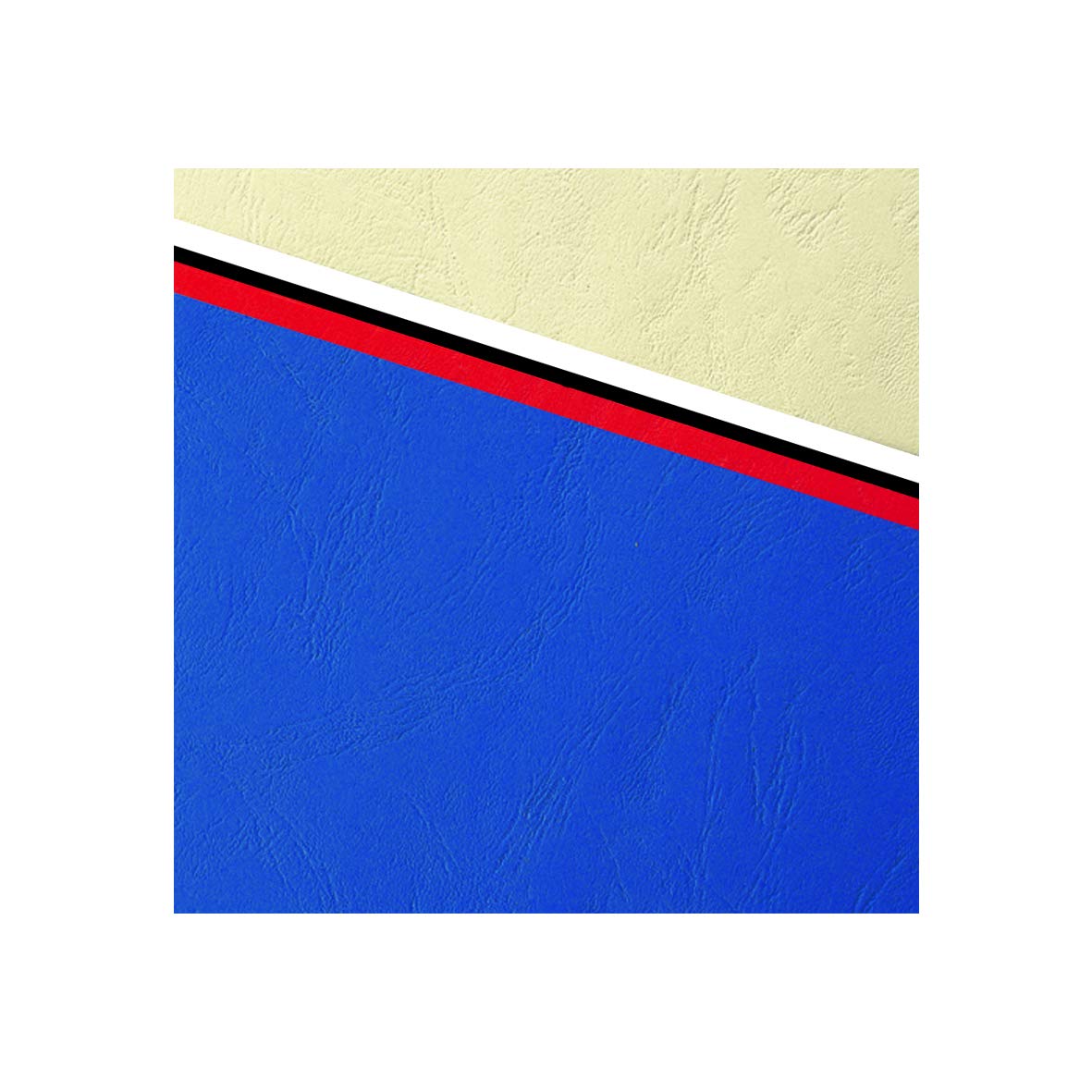 Exacompta 2789C - Lote de 100 cubiertas/cartulinas de dossiers, A4, multicolor