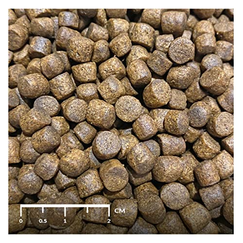 Alimento para hurones 1kg ABENE miniatura 3