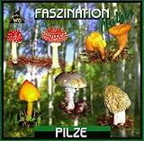 pilsensee angeln  Pilze (Faszination Natur)