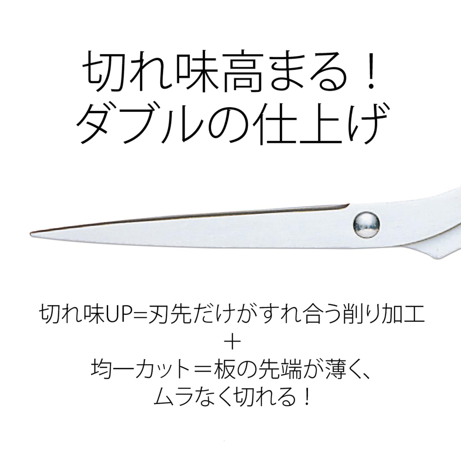 De plus ciseaux inoxydable d'anneau de torsion suppl_mentaire noir SC-165TR (japon importation)