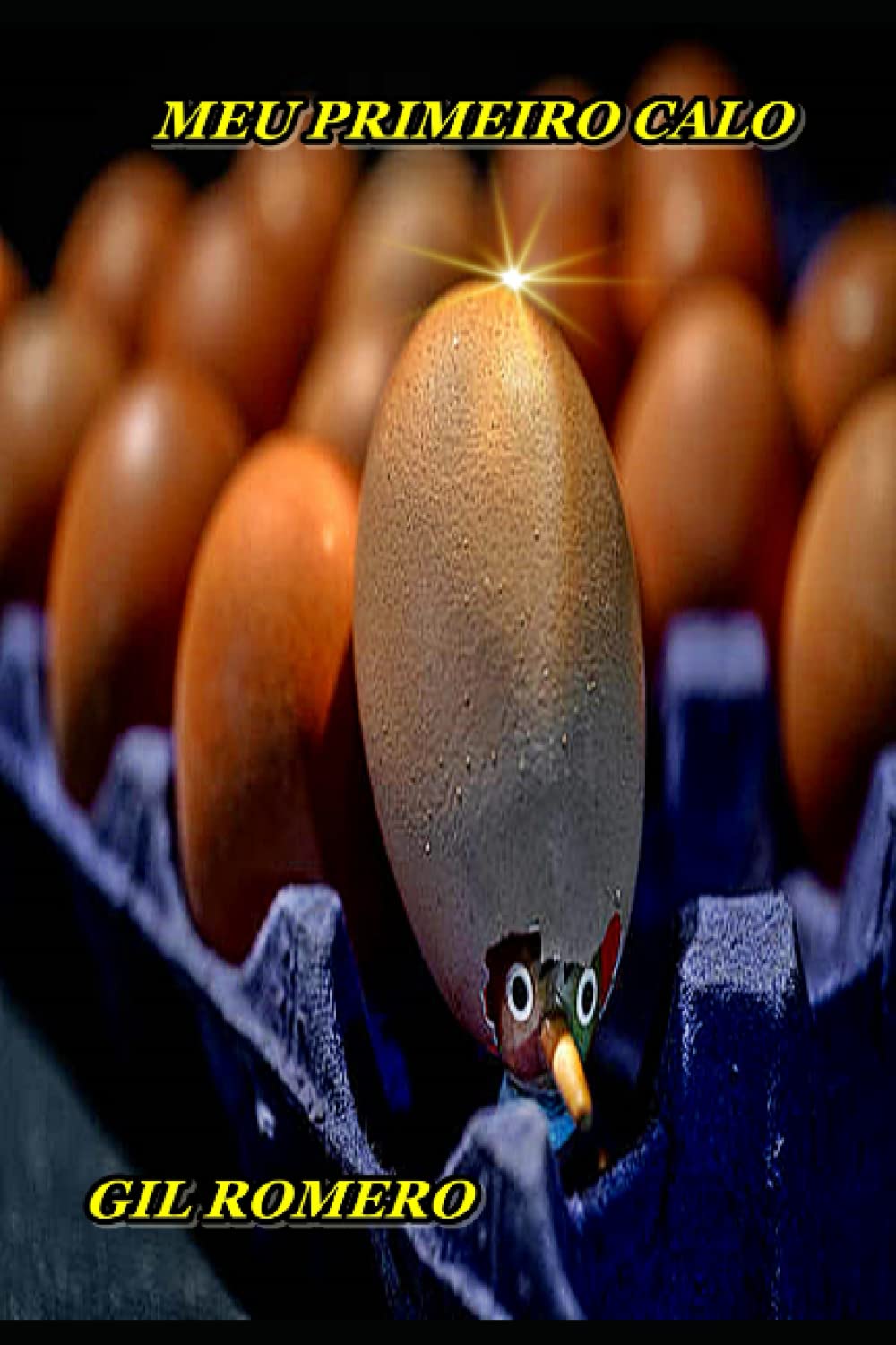 Meu Primeiro Calo: O que as escolas não ensinam e nem os pais sabem ensinar