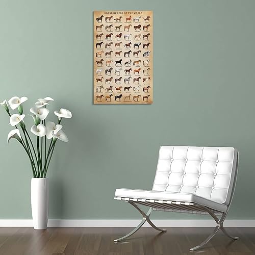 Miniatura 5 de XNLKSI Póster de razas de caballos, póster tipo caballo, conocimiento de caballos, razas de caballos del mundo, sin marco, 16 x 24 pulgadas