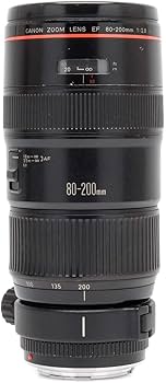 Canon EF 80-200mm f/2.8 L Zoom Lens : Amazon.ca: Electronics