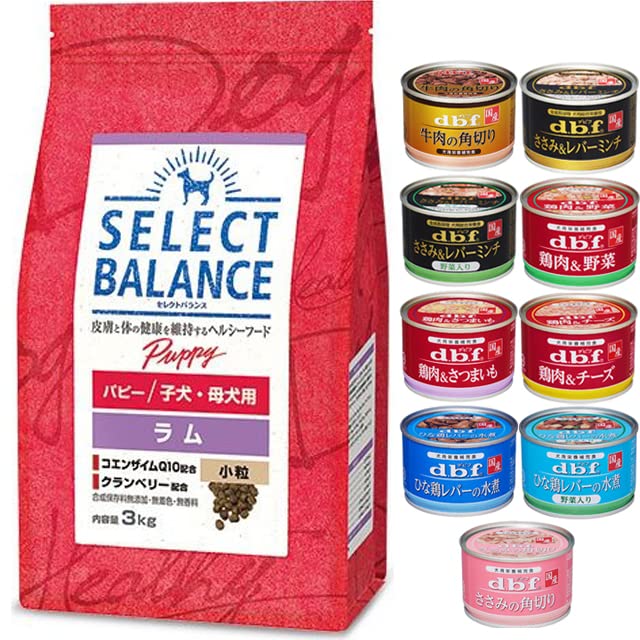 セレクトバランス パピーラム 3kg 2袋セット Amazon | ベッツチョイス セレクトバランス パピー ラム 小粒