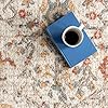 nuLOOM Performance Oriental Style Area Rug, Vintage Design, Durable, Easy to Clean, Lenore Beige, 8' x 10'