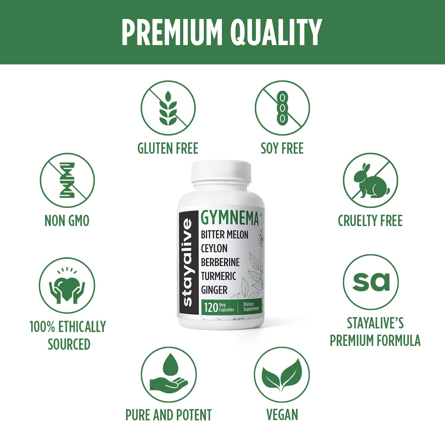 STAY ALIVE Gymnema Sylvestre 25:1 Extract, 120 Capsules with Bitter Melon, Ceylon Cinnamon, Berberine, Turmeric, Ginger, Amla Powder and Fenugreek, Non-GMO & Gluten Free Gymnema Sylvestre Supplement - Image 6 thumbnail
