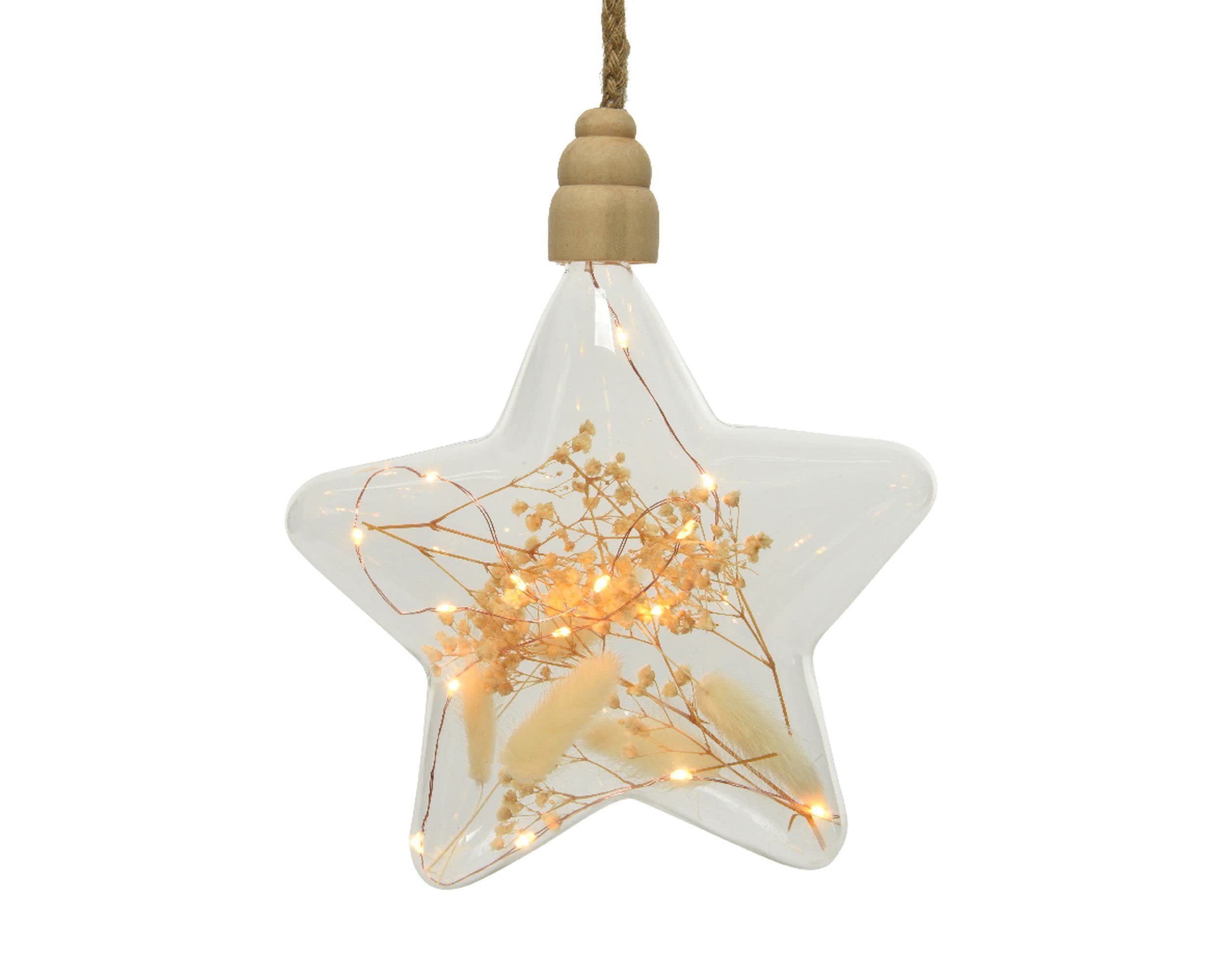 Lumineo 15 Warm White Micro LED Decorative Star Light