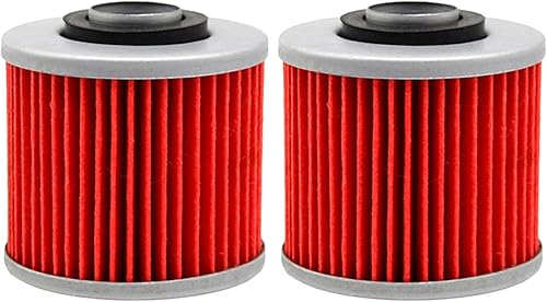 Miniatura 2 de Filtro de aceite para XV250 XV 250 VIRAGO 250 1995-2009 XT660 XT 660 2008 YFM700R 700 2007 XVS400 DRAGSTAR 96-07 Elemento de filtro de aceite (color