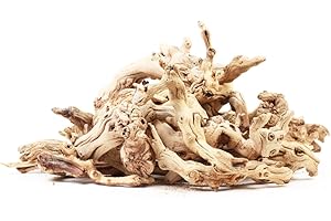 Koyal Wholesale Manzanita Branches for Terrariums