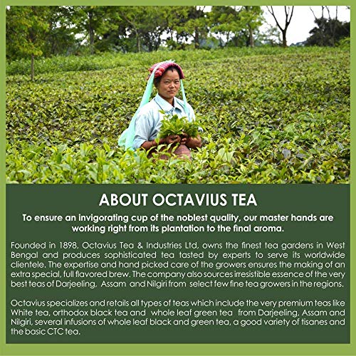Image of Octavius Classic Green Coffee Powder 250g | 100% Pure Unroasted Arabica Beans | Natural & Mild Flavour | Fresh, Unprocessed Coffee Powder | Easy to Brew Beverage