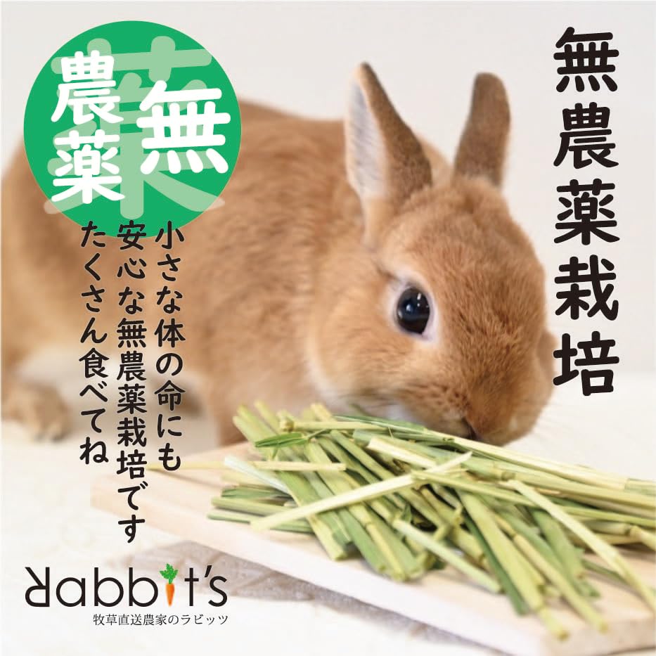 Amazon | 【ラビッツ】茎だらけ 特撰無農薬栽培オーツヘイ50g