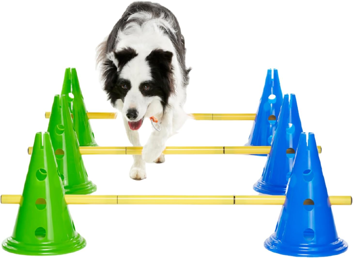 Ball Dynamics CanineGym Agility Kit