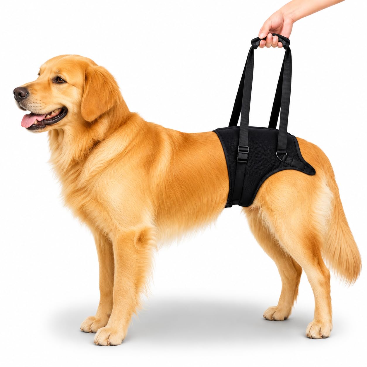 Dog Support Harness for Back Legs | Adjustable and Comfortable Design with Padded Back Legs for Elderly, Injured, Senior, Disabled Dogs | for 22.5-35 KG Pet (Black, Extra Large)-image-29