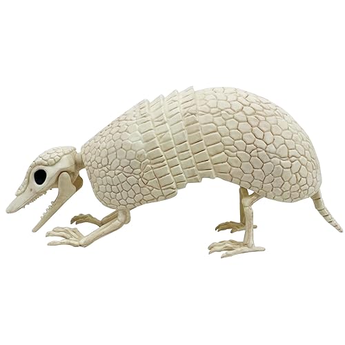 Armadillo Skeleton Halloween Decorations, 14"x4"x6.25", Rotatable Head and Openable Mouth,