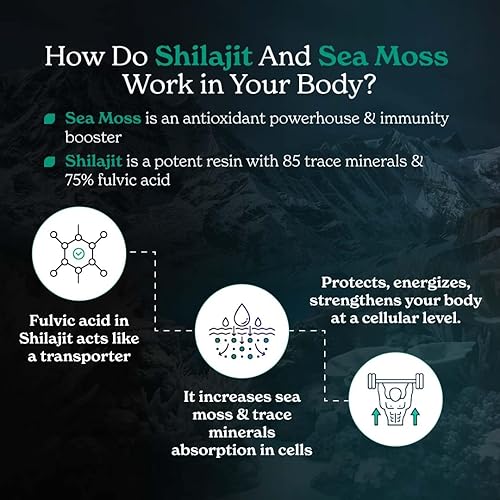 Miniatura 2 de Better Alt Shilajit - Cápsulas de musgo marino, paquete de 2 con extracto de Ashwagandha y pimienta negra con más de 85 minerales esenciales