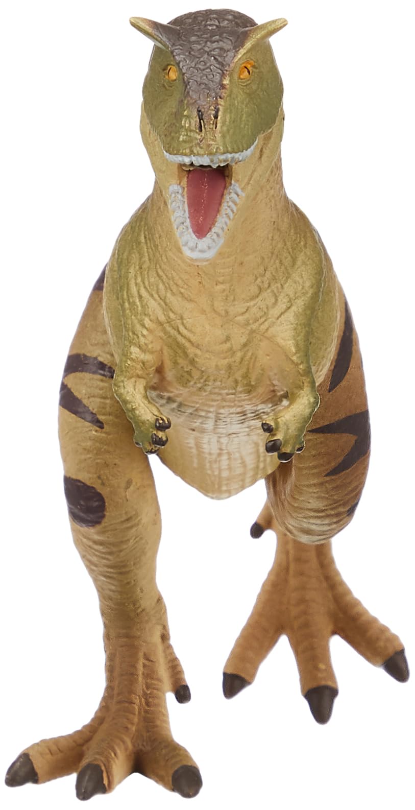 Amazon.co.jp: タカラトミー アニア AL-16 カルノタウルス 動物 恐竜