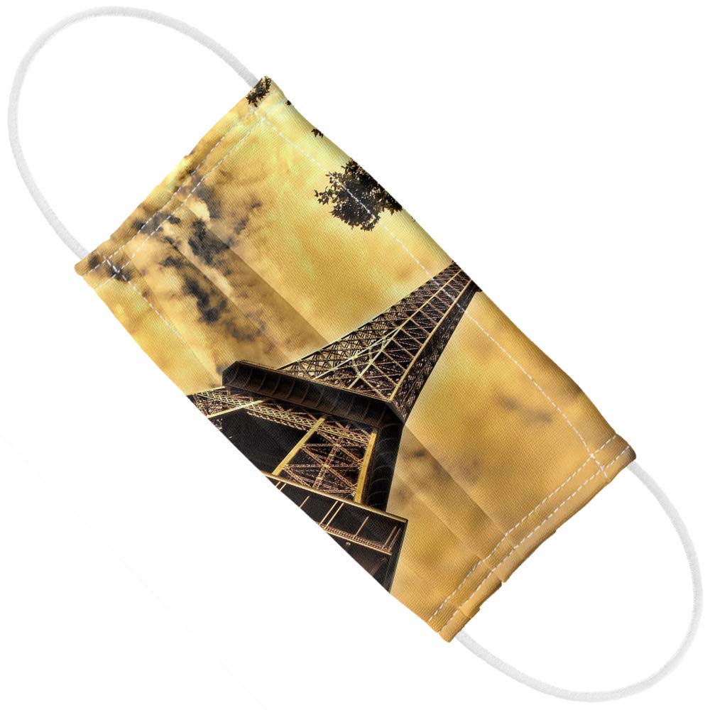 Popfunk Eiffel Tower Paris Vintage 1-Ply Reusable Face Mask Covering with Adjustable Nose Wire, Unisex