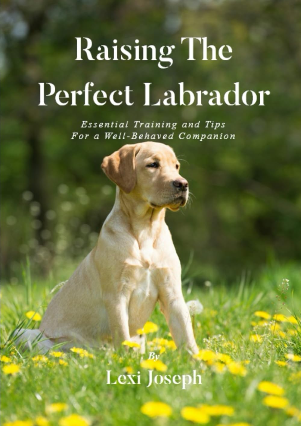 Raising The Perfect Labrador: Essential Training and Tips For a Well-Behaved Companion