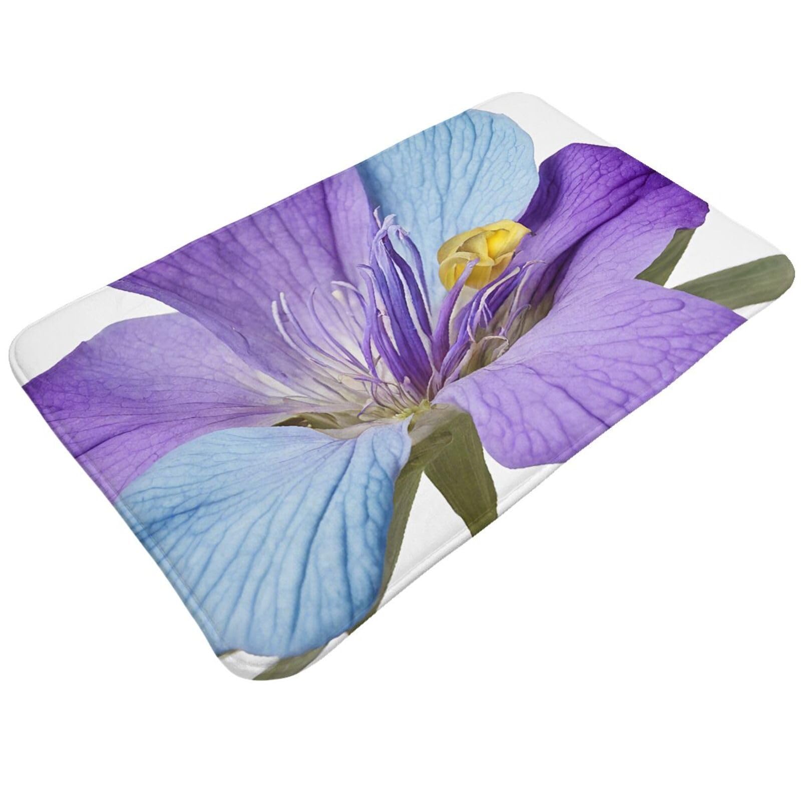 Northern Lights Painting Print Living Room Bathroom Kitchen Anti Slip and Absorbent Carpet, Indoor Entrance Door Muddy Floor Mat, Ultra Soft Washable Carpet 21x31.5 Inches