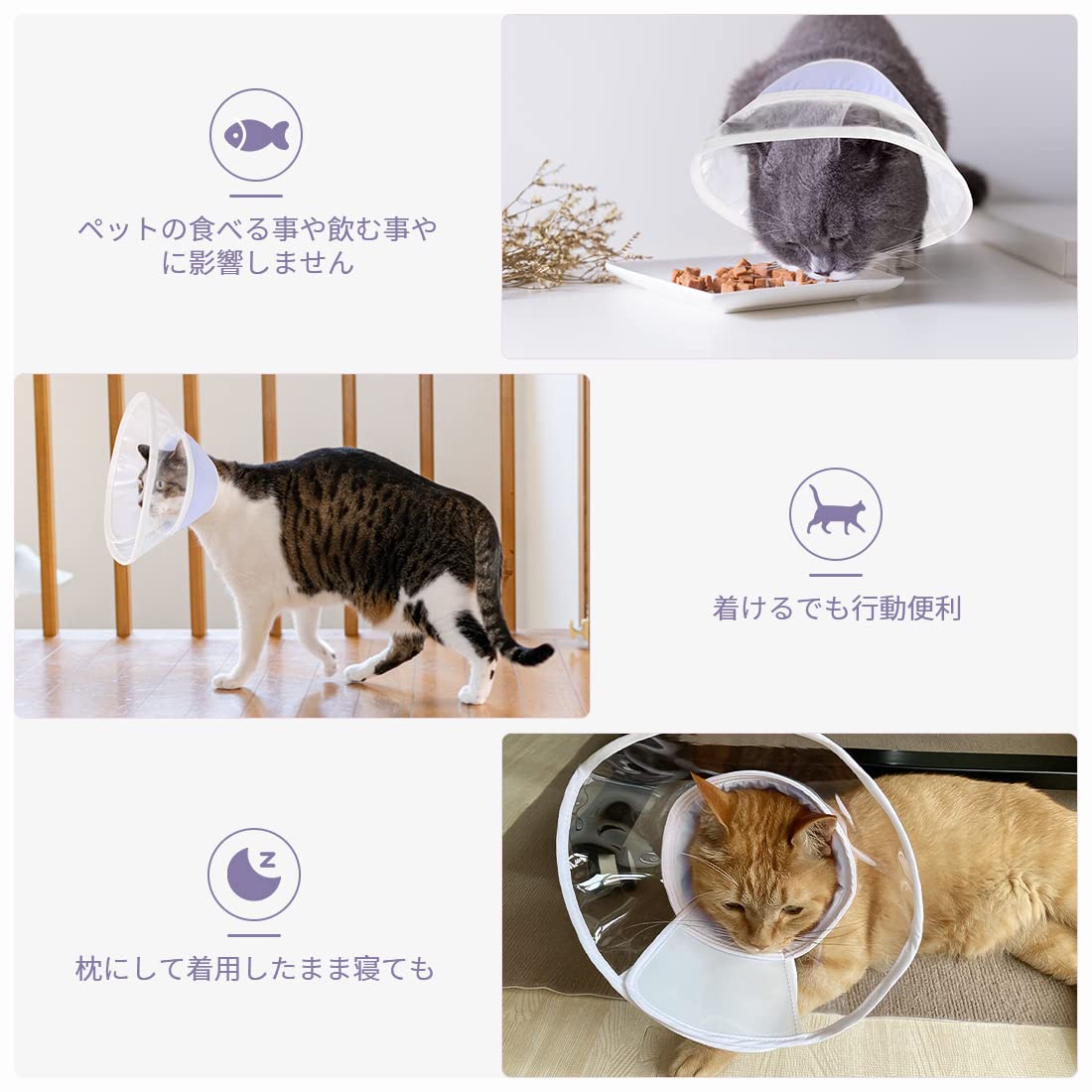 Amazon | 【獣医師推奨】apettogo エリザベスカラー 猫 犬 ソフト 軽量