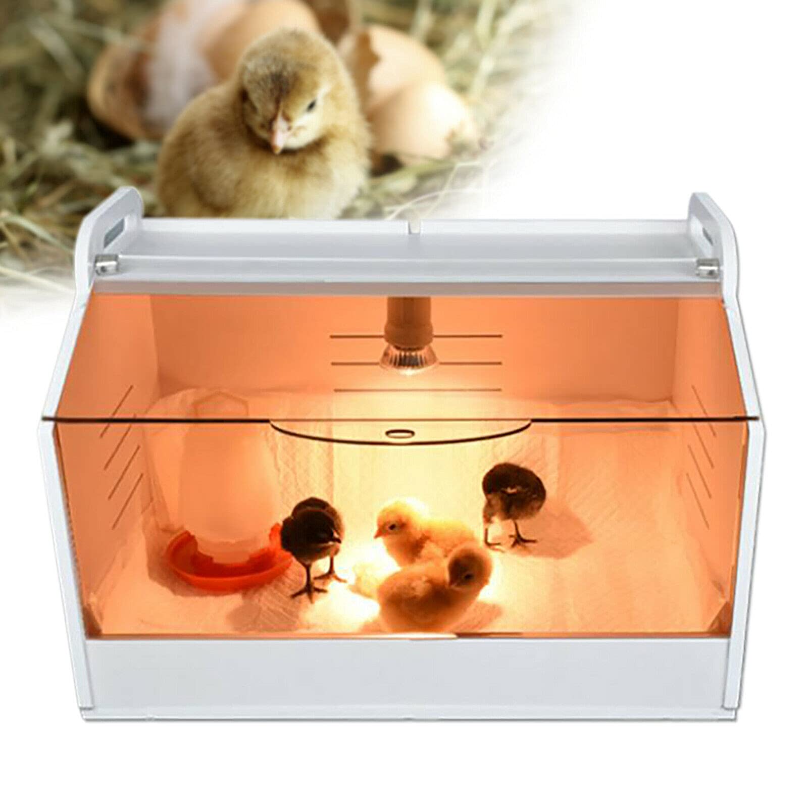 Chick - Incubadora (48 X 30 X 30 Cm, Hoja Industrial De, 220 V, Luz Solar Bajo 75 W)