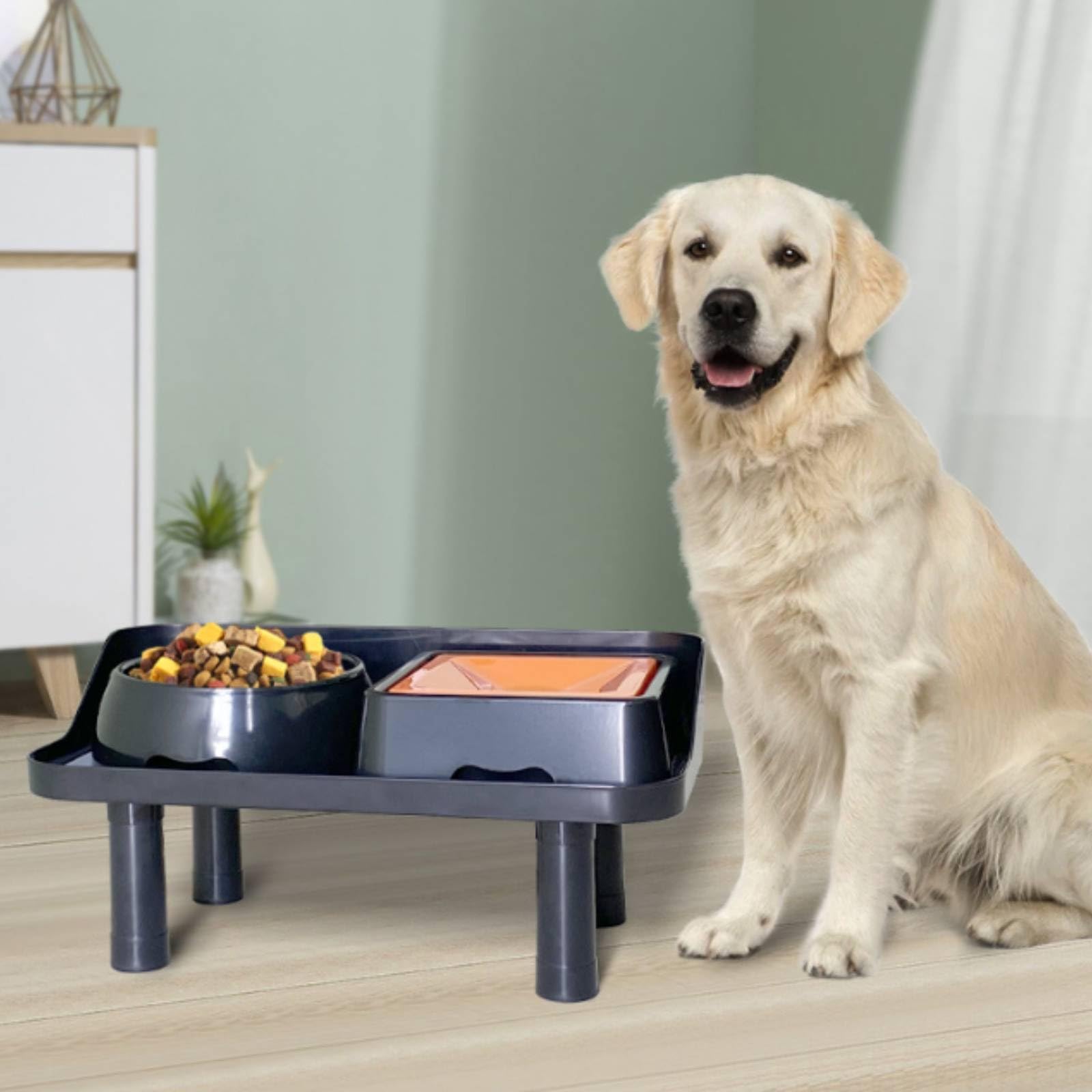Estación Alimentación con Dos Recipientes Doble Comedero con Dos Recipientes Saludable Tazón para Perros, C Conjunto Cuenco De Alimentación Lenta Cuadrado + Cuenco De Agua Cuadrado + Mesa